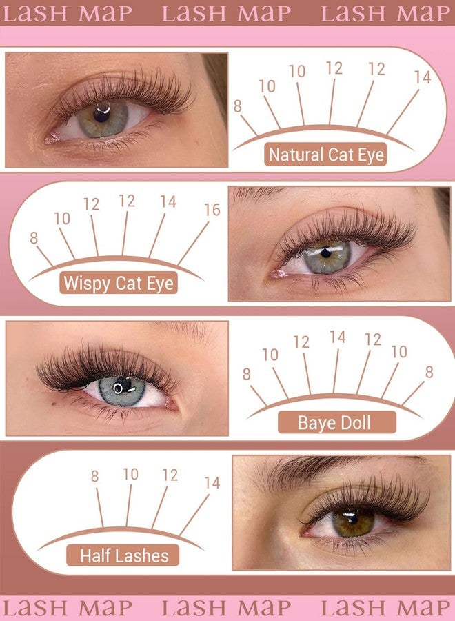 zanlufly Brown Lash Clusters Clear Band Eyelash Clusters Natural Lashes Clusters Dark Brown Lash Extension C Curly Cluster Eyelash Extensions 8-16mm DIY Individual Lashes by ZANLUFLY - Image 2